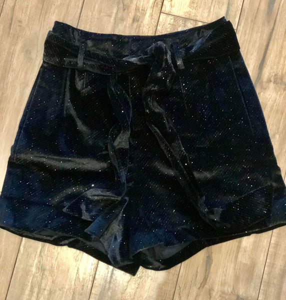 Black Shimmer Velvet Shorts